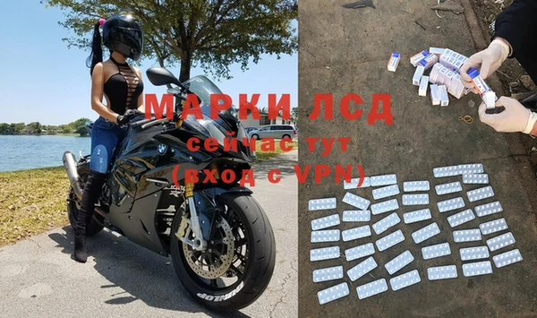 мяу мяу мука Горняк
