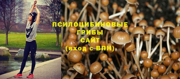 ECSTASY Горно-Алтайск