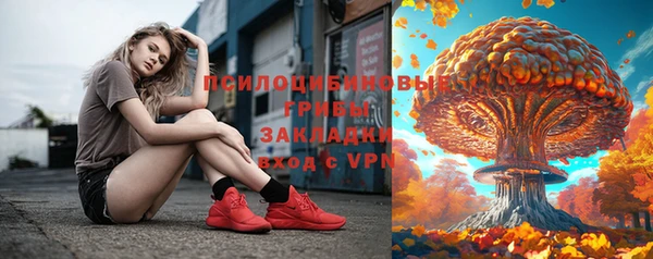 мяу мяу мука Горняк
