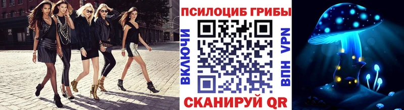 Купить  Чехов  Псилоцибиновые грибы мицелий 